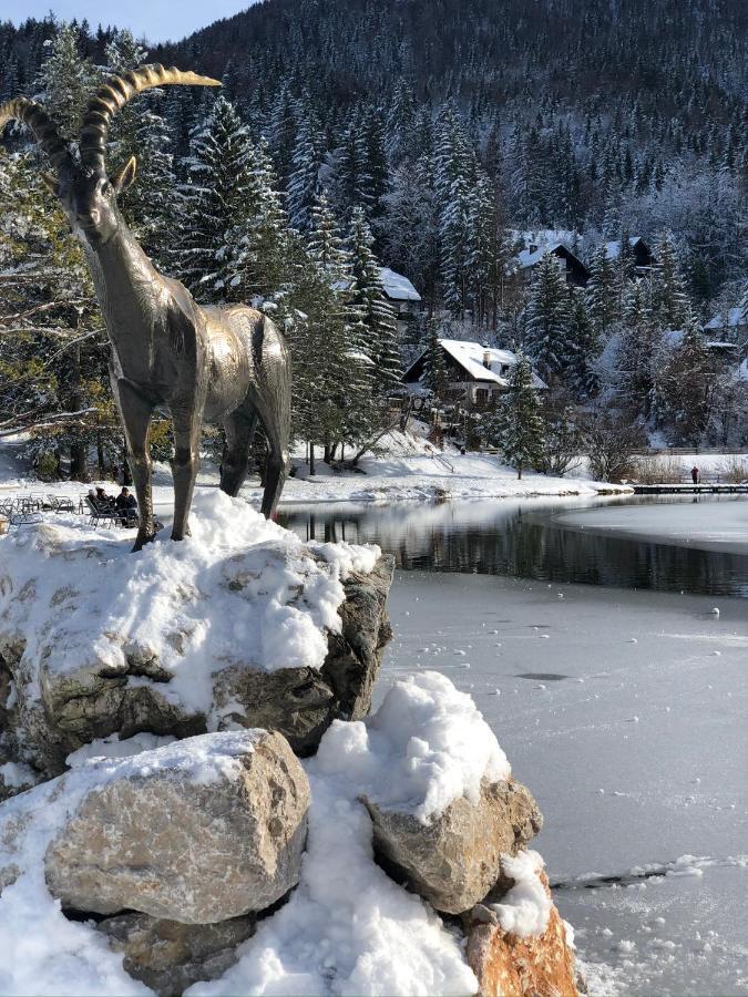 Apartma Lenka Kranjska Gora Dış mekan fotoğraf